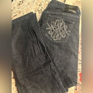 Express Navy Denim with Embroidered Detail